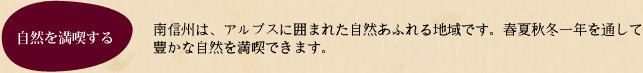 自然を満喫する 南信州は、アルプスに囲まれた自然あふれる地域です。春夏秋冬一年を通して豊かな自然を満喫できます。