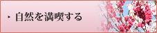 自然を満喫する